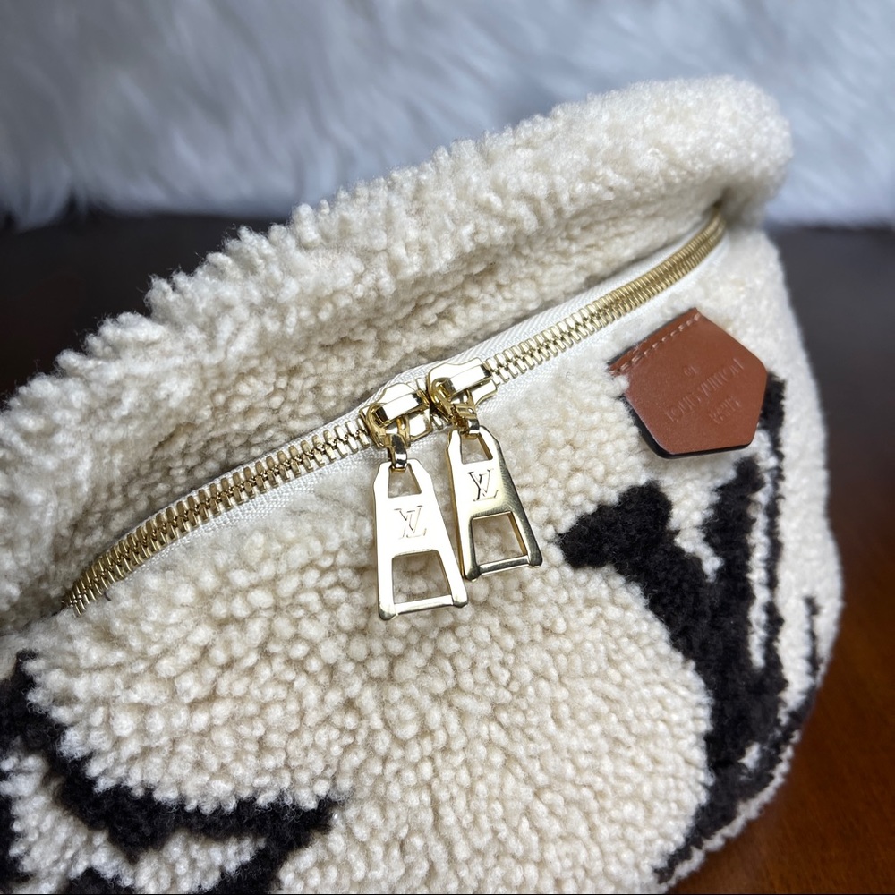 Louis Vuitton Teddy Mono Bumbag - Picture 6 of 13
